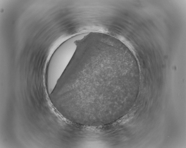 X0000087021104200704301308