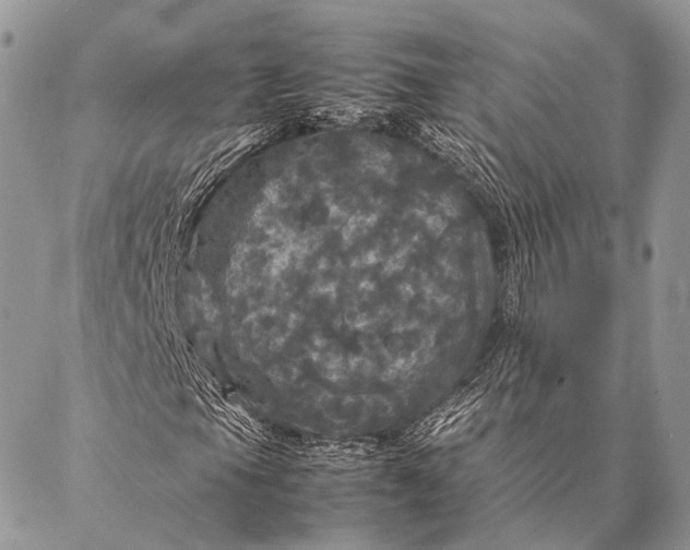 X0000087021105200704301307