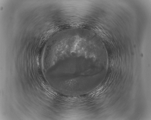 X0000087021106200704301307