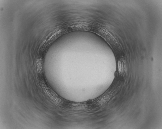 X0000087021107200704301307