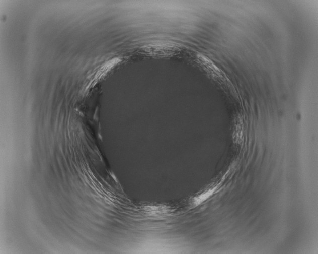 X0000087021108200704301307