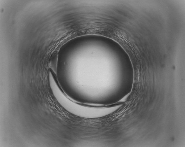 X0000087021109200704301307