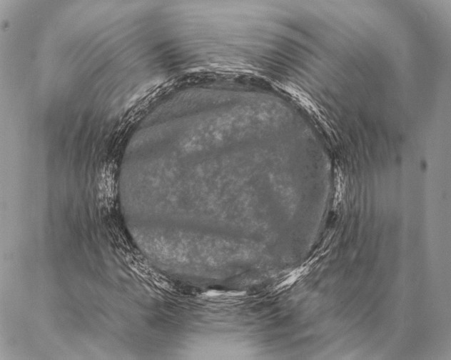 X0000087021110200704301307