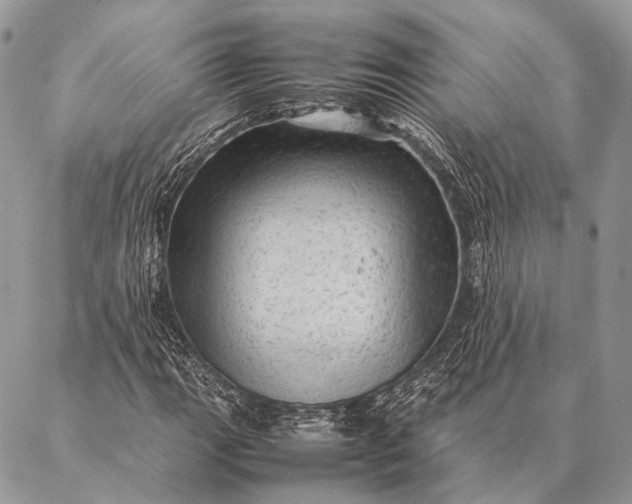 X0000087021111200704301307