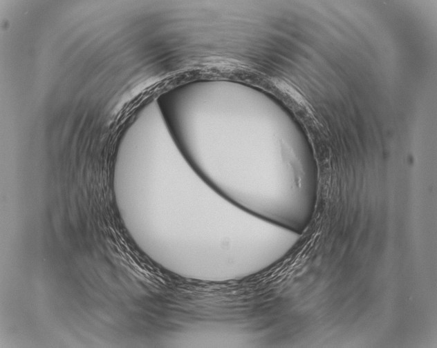 X0000087021112200704301307