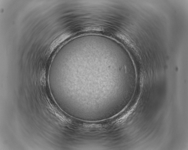 X0000087021113200704301307