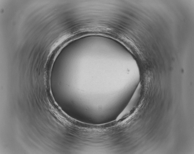 X0000087021114200704301307