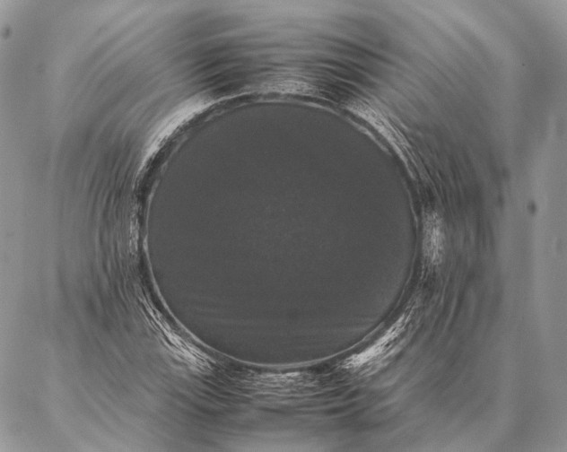 X0000087021115200704301307