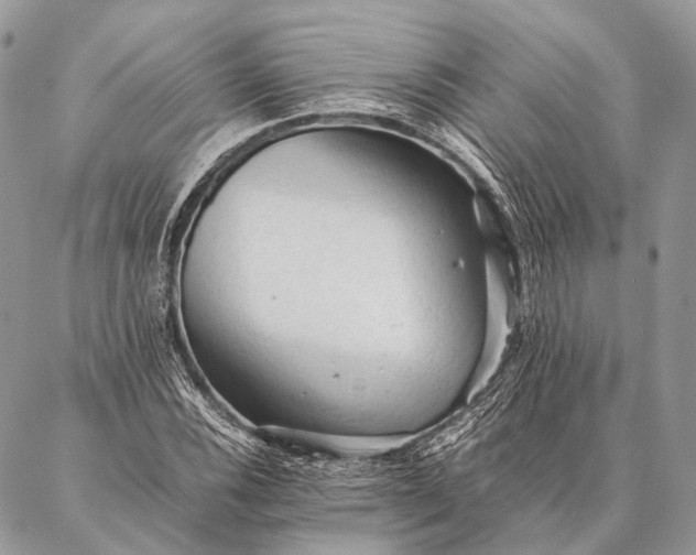 X0000087021116200704301307