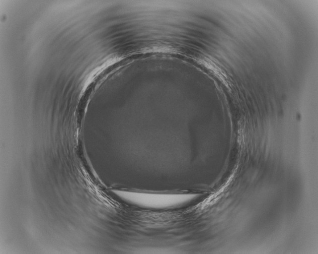 X0000087021117200704301307