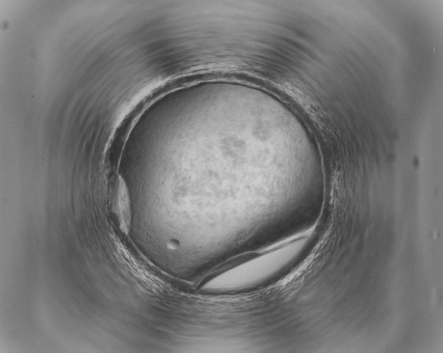 X0000087021118200704301307