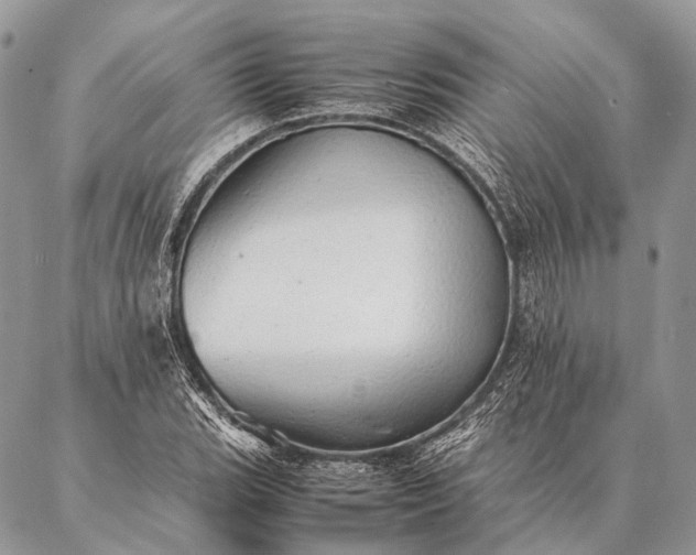 X0000087021119200704301307