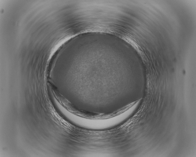 X0000087021120200704301307