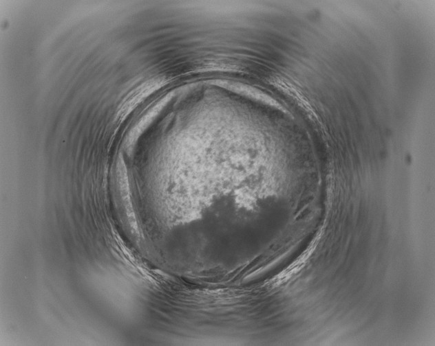 X0000087021121200704301307