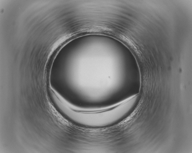 X0000087021122200704301307