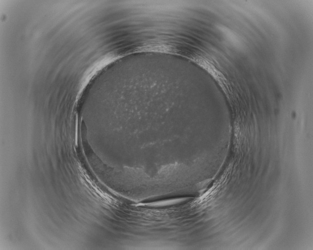 X0000087021123200704301307