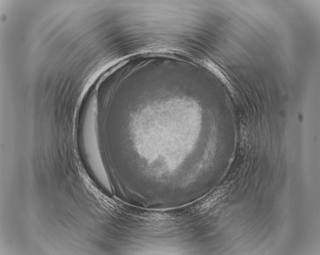 X0000087021124200704301307