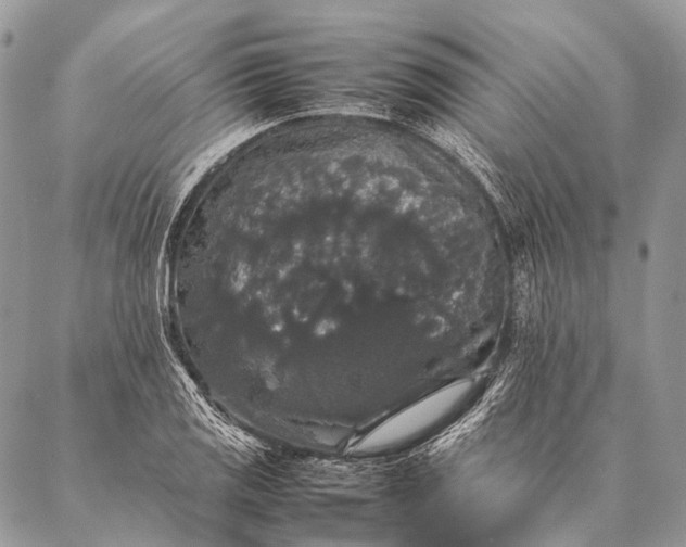 X0000087021125200704301307