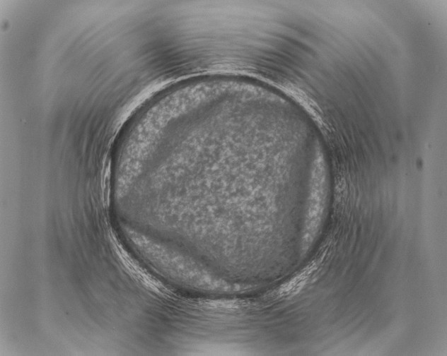 X0000087021126200704301307