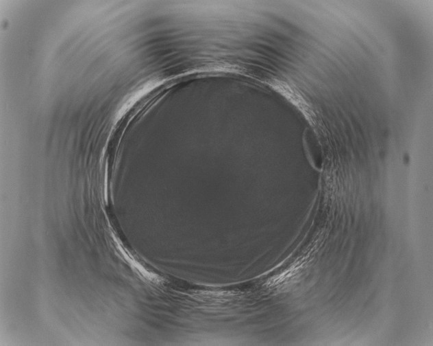 X0000087021127200704301307