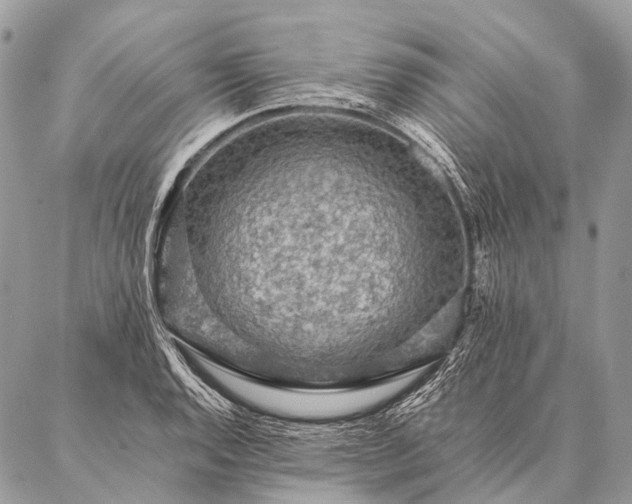 X0000087021128200704301307