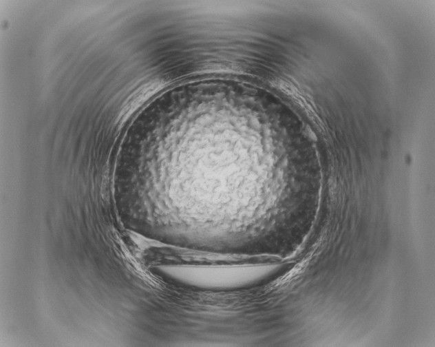 X0000087021129200704301307