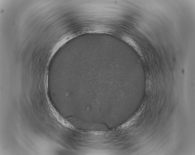 X0000087021130200704301307