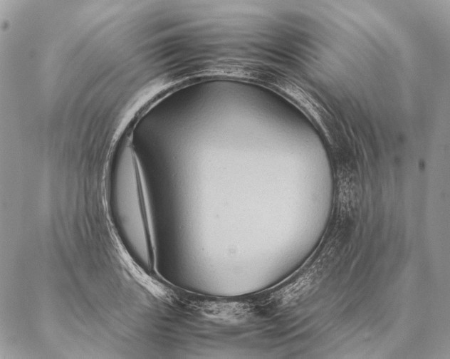 X0000087021131200704301307