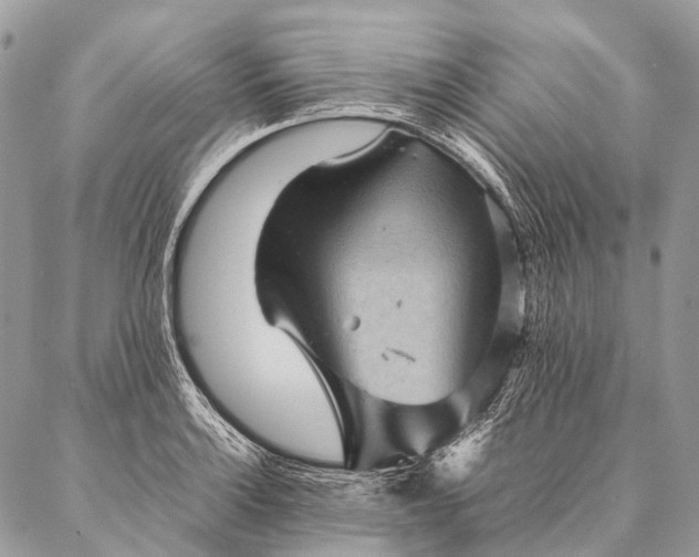 X0000087021132200704301307