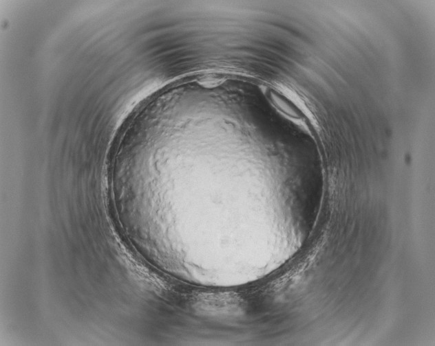 X0000087021133200704301307