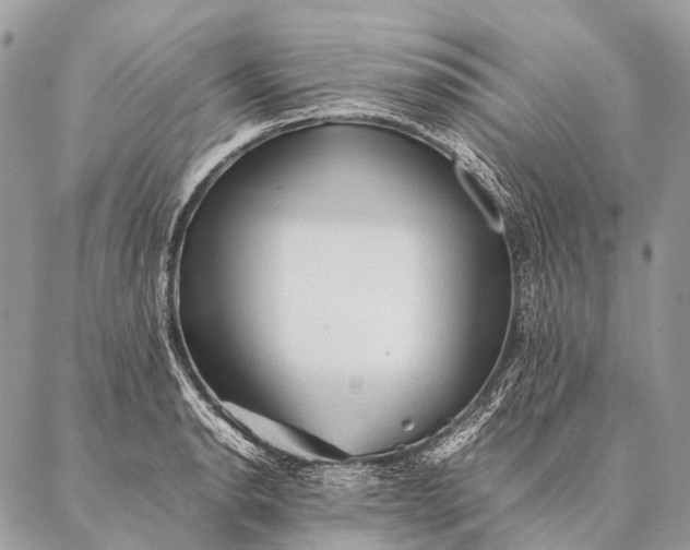 X0000087021134200704301307