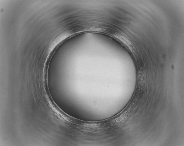 X0000087021135200704301307