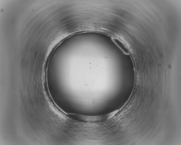 X0000087021136200704301307