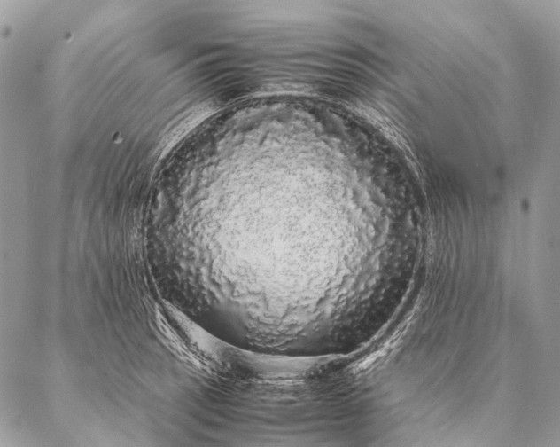 X0000087021137200704301308