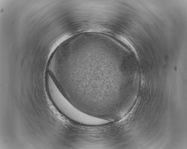 X0000087021138200704301308