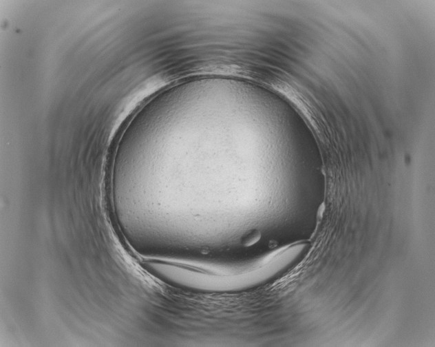 X0000087021139200704301308