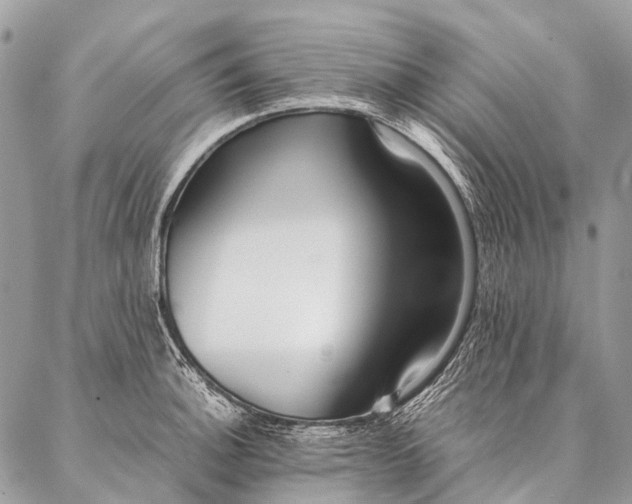 X0000087021140200704301308