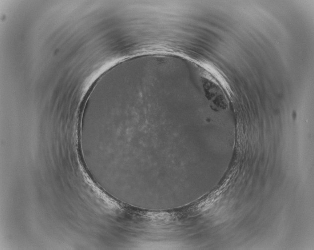 X0000087021142200704301308