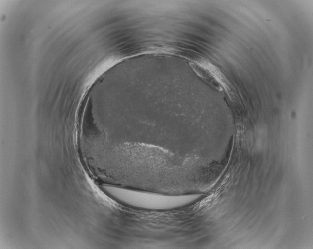 X0000087021143200704301308