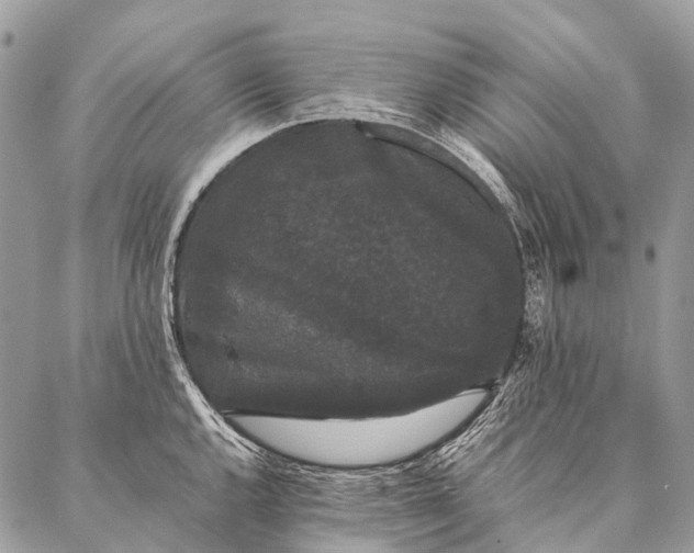 X0000087021144200704301308