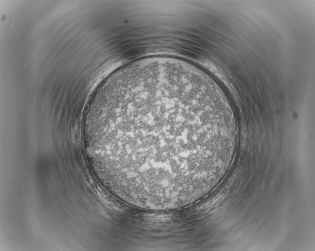 X0000087021145200704301308