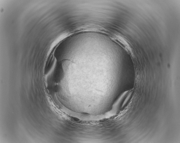 X0000087021146200704301308