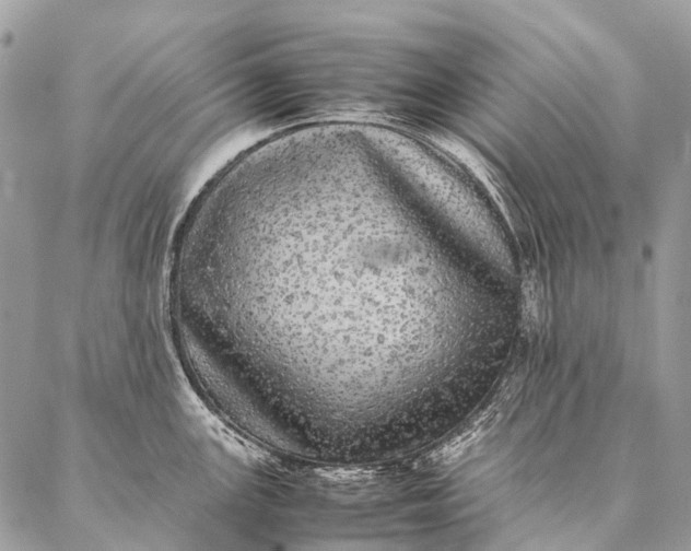 X0000087021147200704301308