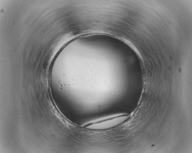 X0000087021148200704301308