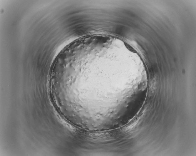 X0000087021149200704301308