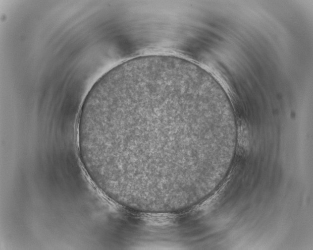 X0000087021150200704301308