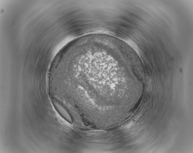 X0000087021151200704301308