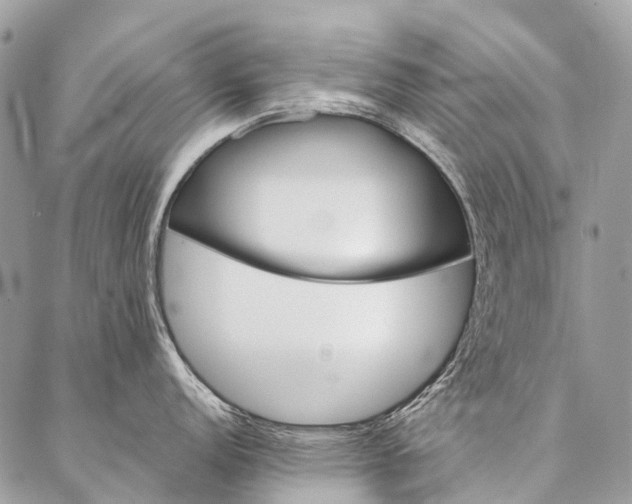 X0000087021152200704301308