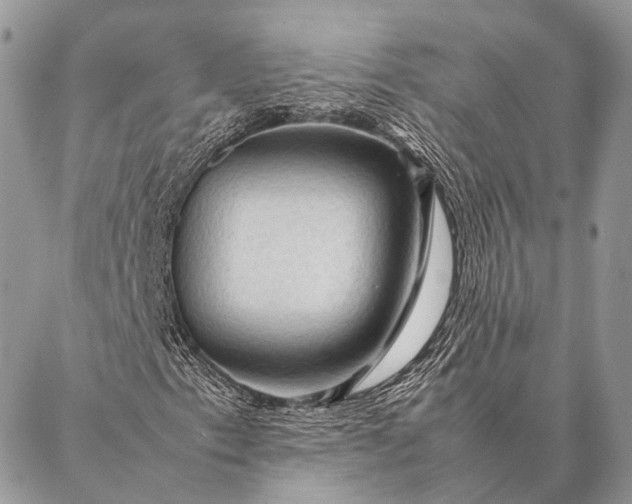 X0000087021153200704301307