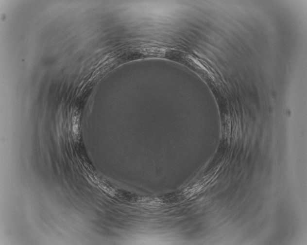 X0000087021154200704301307